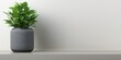 © Po - A modern potted plant sits on a sleek surface, adding a touch of greenery to a minimalist interior space.