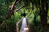 Wasserfallwanderung Waimoku Falls, Maui