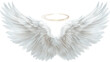 © Mood - Pair of large, detailed white angel wings with a golden halo (1)