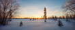 © Aleksandr Matveev - Winter wide panorama beautiful northern snowy sunset landscape with spruce and other trees