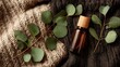 © matoya - Natural Eucalyptus Leaves and Essential Oil Bottle on Cozy Knit Blankets