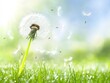 © Sinechana - 49.Single dandelion head releasing seeds into the soft morning breeze, sunlight filtering through the dewdrops on the grass, blurred green background.