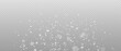 © Ihor Nemynushchyi - White dust with a bokeh effect on a transparent background. Glowing light with glitter on a transparent background. Bokeh lights. Vector illustration.