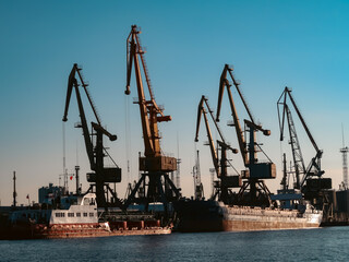  City, nature, university, mountains, trees, flowers, beauty, buildings