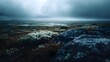 © Thares2020 - Serene arctic moorland landscape featuring low shrubs moss lichen and rocks beneath a dramatic overcast sky