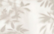 © Shariq .B - Delicate plant and leaf shadows cast on a smooth beige wall surface. Minimalist natural background ideal for eco design, interior decor, wellness, spa, and organic product mockups or branding.