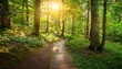 © Cecile - sunlit forest path serene wooded trail nature landscape green forest walk tranquil outdoor scene sunny woodland journey