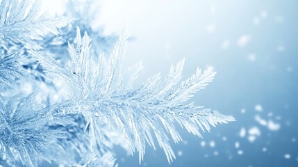 Naklejka na meble Intricate frost patterns forming on a plant branch