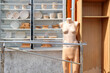 © Studio KME/Stocksy - Headless mannequin outdoors
