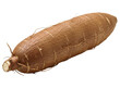 © Bismillah - Fresh raw cassava root, a starchy tuber vegetable, ready for cooking and culinary use.