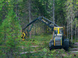© nordroden - Machinery used for timber harvesting captured from above in a lush forested area