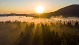 Aerial view of sunlight streaming through foggy forest during dawn