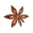 © Masha_tolk_art - Aromatic single dried star anise watercolor illustration on isolated background. Top view. Badian pod baking Asian seasoning for cooking winter recipes, menu, spice stores, Christmas drinks.