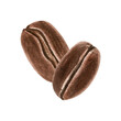 © Masha_tolk_art - Watercolor two roasted Arabica coffee beans illustration on isolated background. Realistic hand drawn aromatic brown seeds. Organic raw ingredient for cafe setting or coffee product promotion.