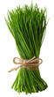 © USAMA ASLAM - Fresh chives tied with twine isolated on transparent background, a flavorful herb