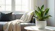 © Viktor - Green zamioculcas plant in white pot on table near sofa in modern living room. Interior home design with natural light. Comfortable lounge cozy decor.