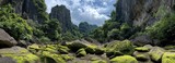 Rocks covered in green moss in nature