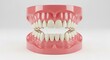 © ELIZA - Detailed rendered simulation of a complete human dental arch with gums clean