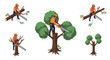 © Sapphire - Tree surgeon using chainsaw for arborist work in isometric style