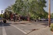 © Travel 'n' Lifestyle - View of crosswalk lines cutting through asphalt streets leading to restaurants and shops shaded by green trees in Loveland, Ohio, United States, Loveland, Ohio, United States.