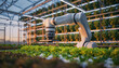 © Roovi - industrial robot arm working in greenhouse growing vegetables