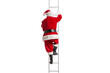 © Ljupco Smokovski - Rear view shot of Santa Claus climbing a ladder
