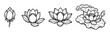 ©  MVectors - Set of lotus flower outline illustration, blooming lotus bud line art graphic design