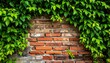 © supra - A weathered brick wall with vibrant green foliage growing on top and around