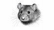 © The 2R Artificiality - Curious gray rat with sharp features, showcasing the theme of isolation