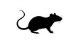 © riskinikol - Silhouette of a black rat with a curled tail, walking on a white background