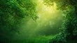 © vxnaghiyev - Lush green nature wallpaper, ideal for creating a calming background