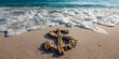 © GaMe - Dollar symbol on beach sand with ocean waves