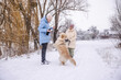 © StockMediaSeller - Elderly woman and her adult daughter walking with a Golden Retriever on a snowy rural path. The dog stands on its hind legs near the younger woman while snow falls around them