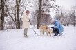 © StockMediaSeller - Elderly woman and her adult daughter spending time outdoors with their Golden Retriever on a snowy winter day. The daughter crouches to interact with the dog while the mother holds the leash