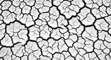 Dry cracked soil is a desolate landscape. Close-up of dark cracked dry soil structure