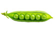 © ruzz - Open Pea Pod Revealing a Row of Bright Green Peas Inside