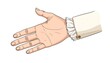 © Bunga - Digitized depiction of a human hand, extended palm up, emerging from a ruffled white cuff. The arm is in a white sleeve