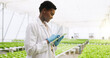 © peopleimages.com - Black woman, tablet and scientist in greenhouse with report, review or vegetables for growth. Person, agriculture and sustainability with tech, app or profile with gmo leafy greens for agro research