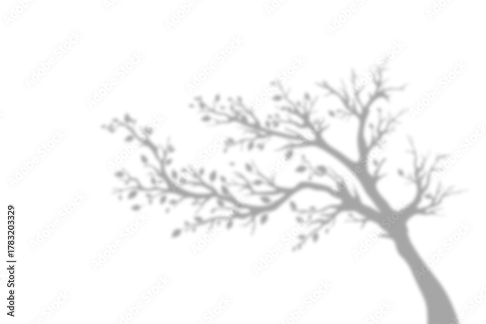 Abstract tree branch shadow overlay on transparent background realistic ...