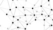 © Sanatçi - Abstract minimalistic black and white abstract network pattern with interconnected black dots linked by thin grey lines. Digital mesh network, with varying node sizes and line angles.