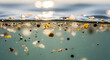 © THIBNH - Close-up of microplastics floating in clear water highlighting the environmental impact of plastic pollution in oceans and drinking water sources 19897567 1