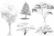 © Tejodi - 다양한 종류의 나무들이 흰색 배경에 흑백으로 그려진 벡터 일러스트레이션입니다.