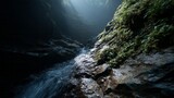 Ravine whispers secrets of ancient rainforests, misty trickle evoking Earth Day and World Water Day reflections