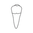 © Arman - premolar tooth line icon