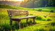 © yogiandrias - Tranquil Wooden Bench in Lush Meadow.