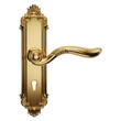 © Creative Store - Ornate gold door handle with ornate backplate brass