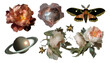 © vectorizer88 - Vintage Collage of Isolated Objects with a Floral Aesthetic and Cosmic Theme