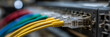© gunzexx png and bg - A detailed close-up of network cables connected to a modern device illustrates the complexity and importance of technology in today’s interconnected world.