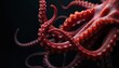 © miss irine - Red octopus tentacles with suckers on black background. Cephalopod arms curl up. Deep sea creature. Marine animal. Tentacle texture close up. Red color tentacles.