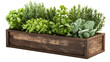 © Maestro - Herbal plants in rustic wooden planter box